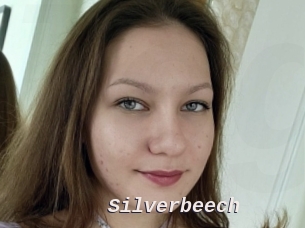 Silverbeech