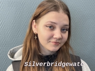 Silverbridgewate