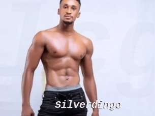Silverdingo