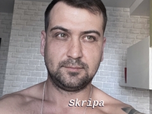 Skripa