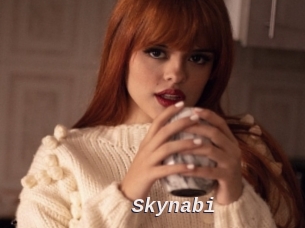 Skynabi