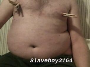 Slaveboy3164