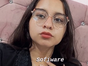 Sofiware