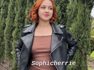 Sophicherrie