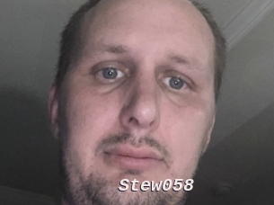 Stew058
