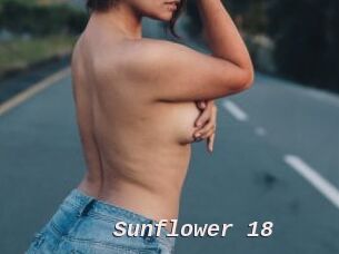 Sunflower_18