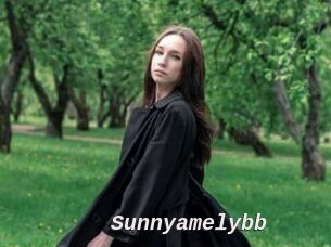 Sunnyamelybb