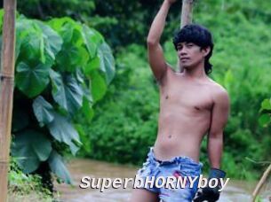SuperbHORNYboy