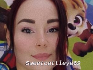 Sweetcattleya69