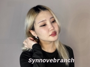 Synnovebranch