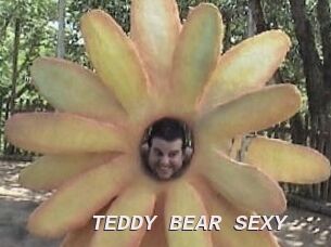 TEDDY_BEAR_SEXY