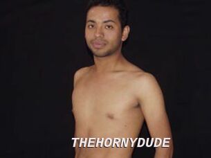 THEHORNYDUDE