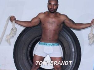 TONYBRANDT