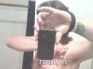 TSFidget