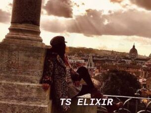 TS_ELIXIR