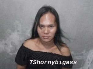TShornybigass