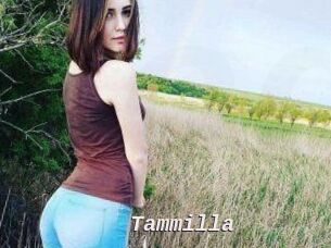 Tammilla_