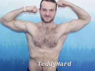 TeddyHard