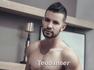TeoBanner