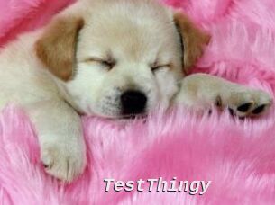 TestThingy