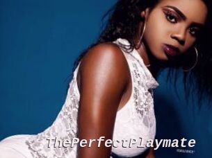 ThePerfectPlaymate Live Camgirls Sex