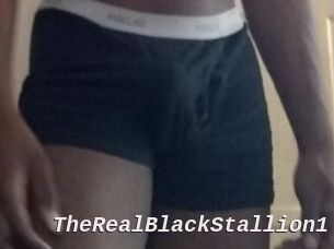 TheRealBlackStallion1