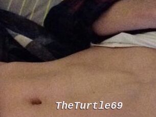 TheTurtle69
