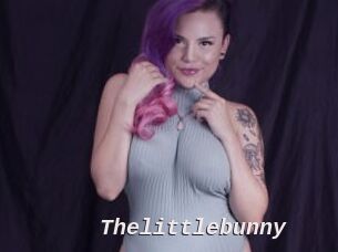 Thelittlebunny Live Camgirls Sex