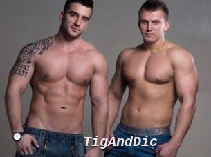 TigAndDic