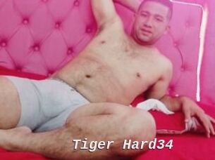 Tiger_Hard34