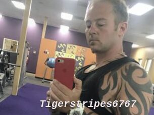 Tigerstripes6767