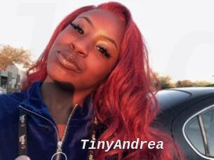TinyAndrea