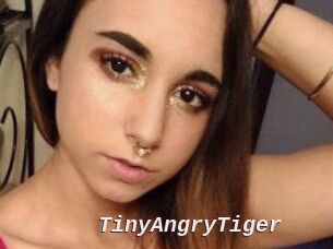 TinyAngryTiger