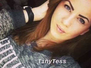 TinyTess
