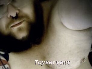 Toyservent