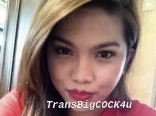 TransBigCOCK4u