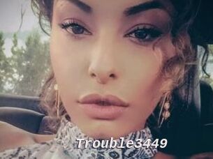 Trouble3449