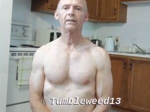 Tumbleweed13 Live Camgirls Sex
