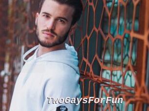 TwoGaysForFun