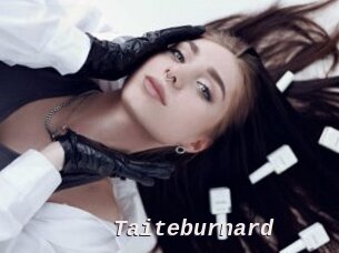 Taiteburnard