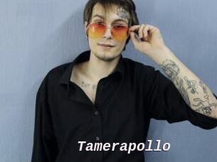 Tamerapollo