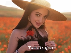 Tamilsgeo
