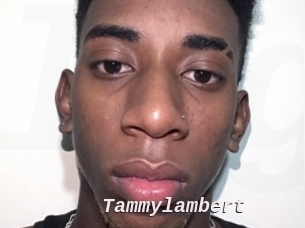 Tammylambert
