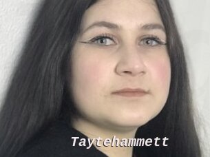 Taytehammett
