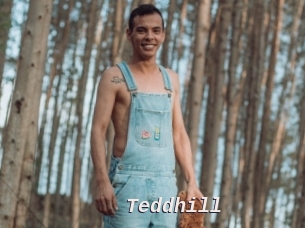 Teddhill