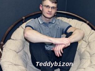 Teddybizon