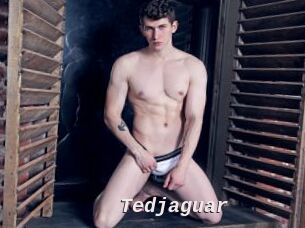 Tedjaguar