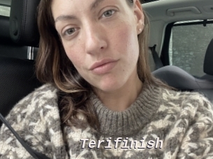 Terifinish