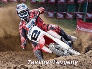 Testperfevgeny