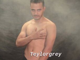 Teylorgrey